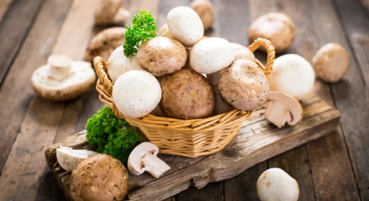 5 Surprising Health Benefits of Portobello Mushrooms You Didn’t Know About